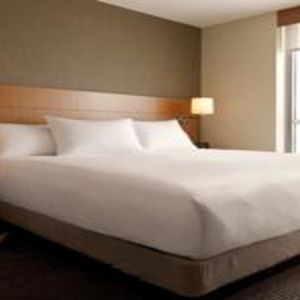 King Room Sofa Bed Accessible Tub Disability Access